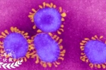 阿拉贡新冠疫情：3月10日至10月18日的每天记录
