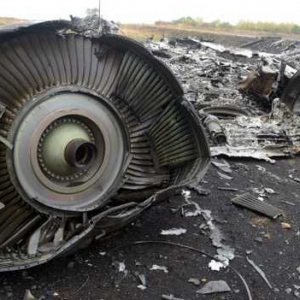 马航MH17空难：有一乘客戴着氧气罩