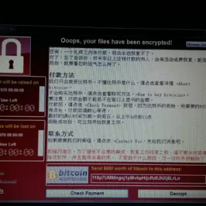 勒索病毒全球蔓延 他利用几美元成功阻止灾难(图)